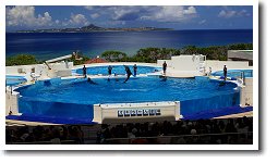 �C���J�V���[