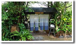 ���Ώ����̎�