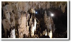 �Ί_���ߓ���