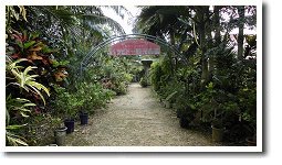 �o���r�h�[�ό��_��