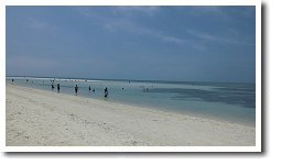 �R���h�C�r�[�`