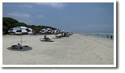 �R���h�C�r�[�`