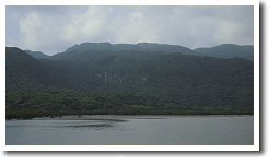 �s�i�C�T�[���̑�