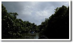 �}�[���[��