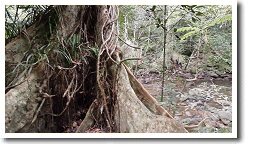 �T�L�X�}�X�I�I�m�L