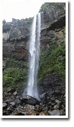 �s�i�C�T�[���̑�