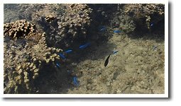 �����E�L���E�����X�Y��