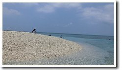 �o���X��