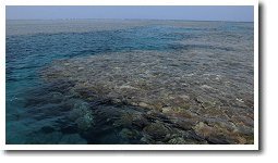 �e�[�u���X��