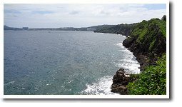 �^�h�c���G���g���[�|�C���g