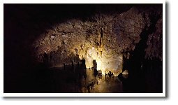 �␅�������