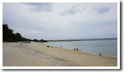 �l�v�����X�r�[�`