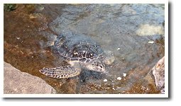 �����C�m�W����