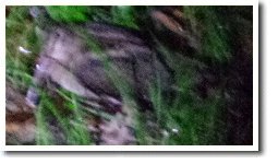 �A�}�~�m�N���E�T�M