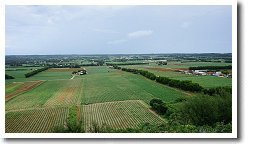 ���̊ۓW�]��