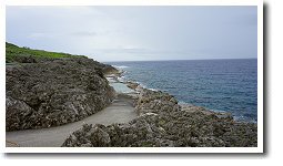 �����v�[��