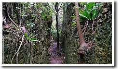 �o���o����