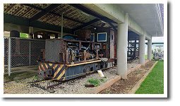 �V���K�[�g���C��