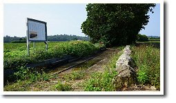 シュガートレイン跡