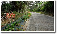 �t�����e�B�A���[�h