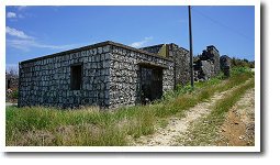 �Ӎz�Β����ɐ�