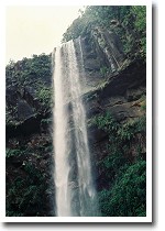 �q�i�C�T�[���̑�