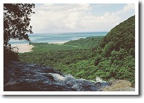 �q�i�C�T�[���̑��