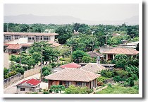 ���u�t���W�]�䂩��