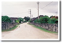 ���{�̓�100�I