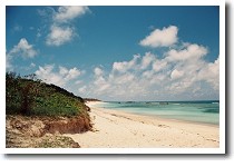 ���̕l�r�[�`