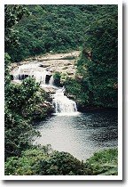 �}���E�h�̑�