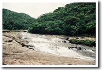 �J���s���[�̑�