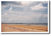 �앗���c�̕l