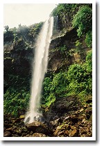 �q�i�C�T�[���̑�