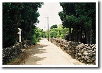 鳩間島の町並み