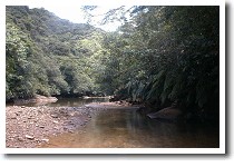 �J�k�[�I�_