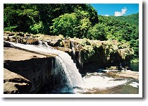 �}���E�h�̑�