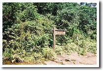 �c�f�������