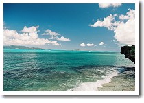 ���{�C��