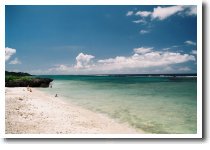 ���{�C��