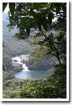 �}���E�h�̑�