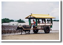 �R�z���̐���