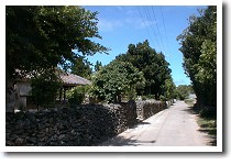 ���ԓ��̃��C���X�g���[�g