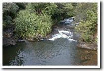 �N�[����V�R�v�[��