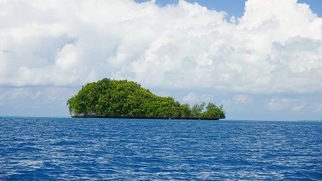 �N�W����