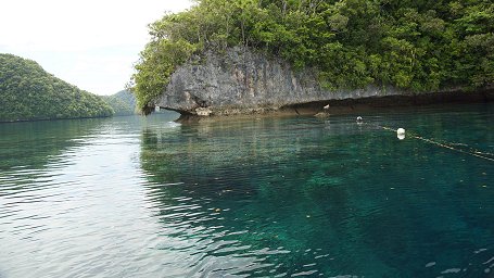 �T���N�`���A��