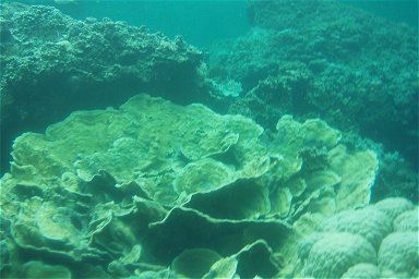 �T���N�`���A��