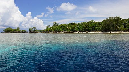 �r�b�O�h���b�v�I�t