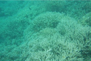 �t�@���^�W�[