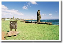 �A�t�E�e�B�n��